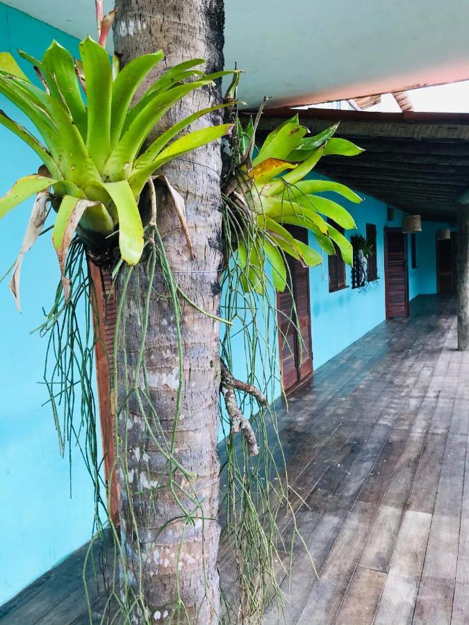 Pousada Barra Das Contas 伊塔卡雷 外观 照片